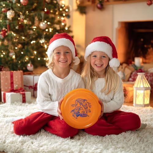 Frisbee Go 2 Pack Flying Disc, 9 Inch Lightweight Toy Set for Beginners Outdoor Beach Park Backyard Game - 70g