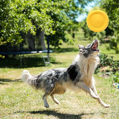 WishLotus Dog Ring Toy and Flying Disc, Interactive Floating Dog Toys Set for Outdoor, Training and Teeth Cleaning Chewers Fetch Toys for Large Dogs (Yellow) - color: Yellow