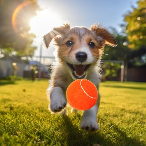60/120 Pack Tennis Balls, Training Tennis Balls, Pet Dog Playing Balls, Practice Tennis Balls with Mesh Bag for Transport and Beginner Training - color: Orange-60Pack