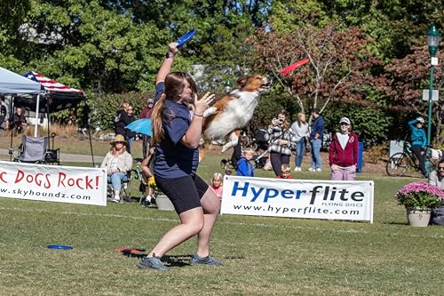 Hyperflite K-10 Jawz Puncture Resistant Dog Flying Disc, Medium-Large | Puncture Resistant, Competition Approved | 8.75-inch, 150g | Medium & Large Dogs | Pink - color: Pink