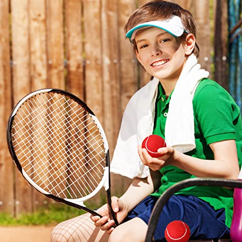 Vinsot 24 Pack Tennis Balls Bulk, Standard Pressure Balls for Training Playing Player Beginner Youth, Exercise Ball for Pet Dog, 2.5 Inch(Red) - color: Red