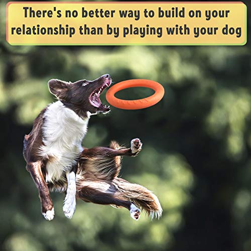 PetSpy Dog Ring Toy – Flying Ring for Outdoor Play, Floating Training & Fetch Toy for Throwing, Catching & Chewers – Durable EVA Flying Disc for Small, Medium & Large Dogs - size: Large, style: 2 Rings