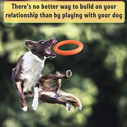 PetSpy Dog Ring Toy – Flying Ring for Outdoor Play, Floating Training & Fetch Toy for Throwing, Catching & Chewers – Durable EVA Flying Disc for Small, Medium & Large Dogs - size: Large, style: 2 Rings