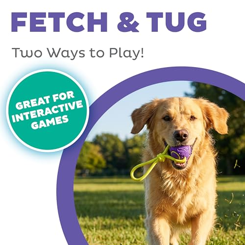 Outward Hound FlyFetch Ball Tug Dog Toy, Durable Rubber & Rope for Fetch and Tug-of-War, Lightweight, Floats, 9" x 3" - color: Ball Tug Purple