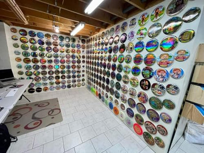 DiscWHO- Disc Wall Hanging Organizer (10 Pack)