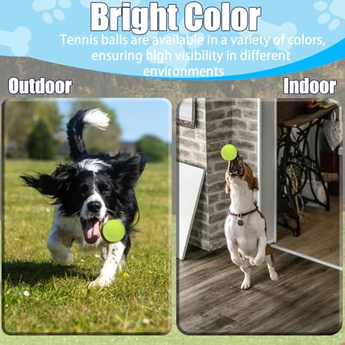 Swingers Small Tennis Balls，20 Pack 2 inch Training Tennis Balls,Exercise Ball for Pet Dog with Mesh Carry Bag Easy to Transport