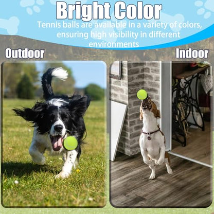 Swingers Small Tennis Balls，20 Pack 2 inch Training Tennis Balls,Exercise Ball for Pet Dog with Mesh Carry Bag Easy to Transport