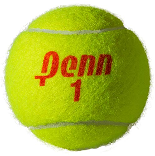 Penn Championship Tennis Balls - Regular Duty - size: 24 Cans