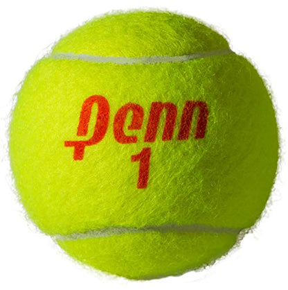 Penn Championship Tennis Balls - Regular Duty - size: 24 Cans