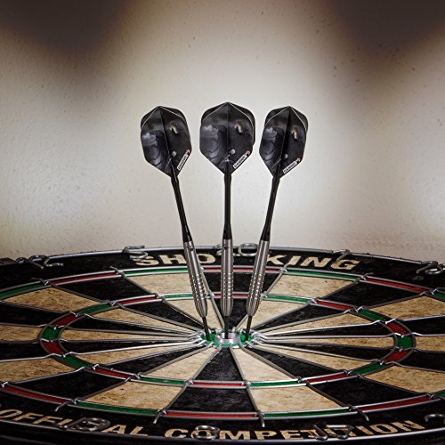 Elkadart Wizard 80% Tungsten Steel Tip Darts with Storage/Travel Case - style: 23 Grams