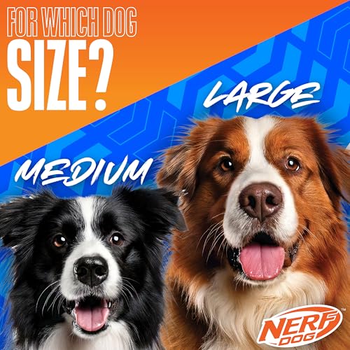 Nerf Dog Large Nylon Launching Duck/Blue/Green - color: Blue/Green
