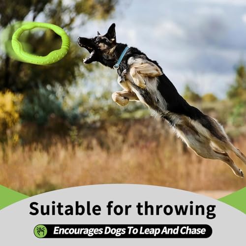 LaRoo Dog Ring Toy, Durable Soft Flying Disc for Throwing Catching Grabbing, Water Floating Dog Training Fetch Ring for Medium Large Breeds, Outdoor (Green/11.8Inch) - color: Green-L