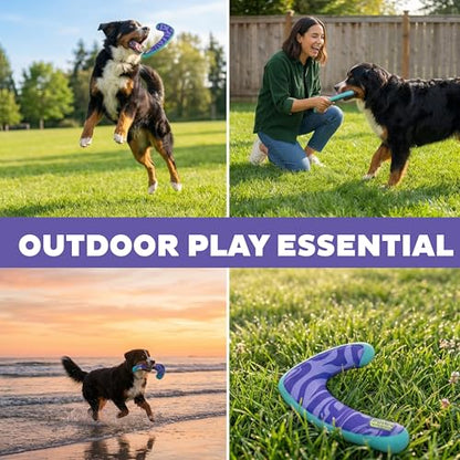 Outward Hound FlyFetch Boomerang Dog Toy, Lightweight Foam Core, Rubber Rim, Floats in Water, All Breeds, 11" - color: Boomerang Purple