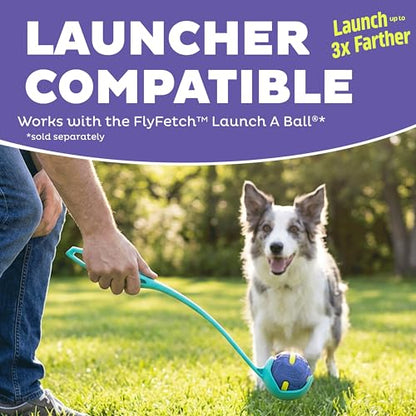 Outward Hound FlyFetch Rubber Fetch Ballz Dog Toy, Bounces & Floats, Launcher Compatible, 2.6", 2-Pack - color: Replacement Balls Multi