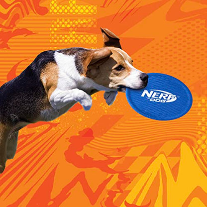 Nerf Dog Nylon Flyer Dog Toy, Flying Disc, Lightweight, Durable and Water Resistant, Great for Beach and Pool, 9 inch diameter, for Medium/Large Breeds, Single Unit, Blue - color: Blue - 1 Pack