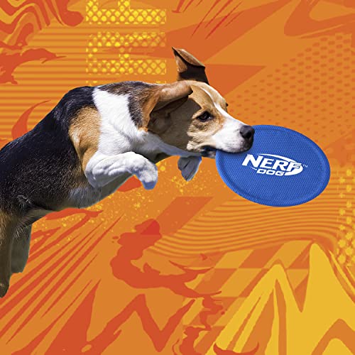 Nerf Dog Nylon Flyer Dog Toy, Flying Disc, Lightweight, Durable and Water Resistant, Great for Beach and Pool, 9 inch diameter, for Medium/Large Breeds, Single Unit, Blue - color: Blue - 1 Pack