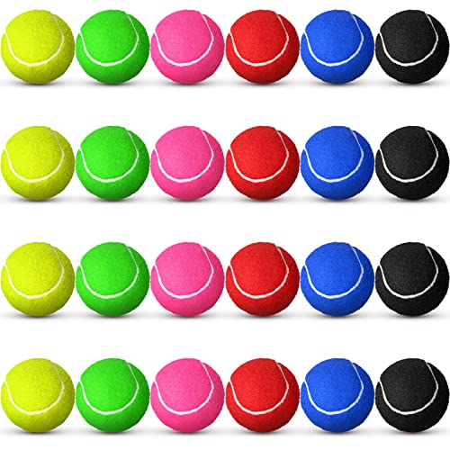 Vinsot 24 Pack Tennis Balls Bulk, Standard Pressure Balls for Training Playing Player Beginner Youth, Exercise Ball for Pet Dog, 2.5 Inch(Multicolor) - color: Multicolor