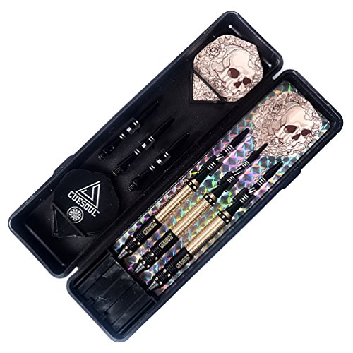 CUESOUL Dragon Professioanl Steel Tip Dart-25g/23g/21g/20g - color: 21g-F2305