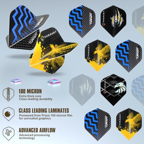 Turnart Darts Metal Tip Set - Steel Tip Darts Darts Set Professional Metal Darts 12 pcs 22/24 Grams Pro Dart Set with Stylish Case Aluminum Shafts Extra 9 Flights - color: Blue