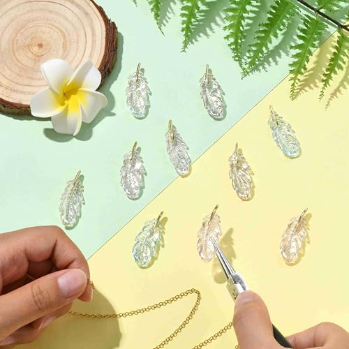 Stiesy 10 Pcs Feather Charms Pendants UV Plating Transparent Acrylic Wings Feathers Charm Bulk for Jewelry Bracelet Making DIY Crafts Necklace - color: Feather-10pcs-5 colors