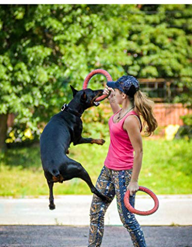 Soft Durable Rubber Tug Ring Dental Chewing Biting Chasing Training Toy for Dogs DT103 Red 7 inch - color: Red, size: 7 inch