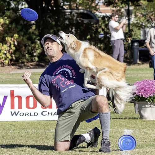 Hyperflite Pup Jawz Puncture Resistant Dog Flying Disc, Small Dogs | Puncture Resistant, Competition Approved | 7-inch, 90g | Small Dogs | Blue - color: blue