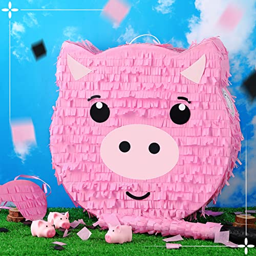 Deekin Pig Piñata Stick with Blindfold Confetti Set Pig Piñata for Birthday Party Decorations Kids Farm Party Gaming Theme Pets Holiday Celebration Supply - style: Pig