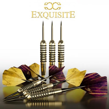 CC-Exquisite Premium Steel Tip Darts Set - Professional Darts, Brass Barrels, Metal Tip Darts, Extra Flights, (12) Aluminum Shafts 35/48, O-Rings, Dart Tool, Dart Sharpener, Darts Case