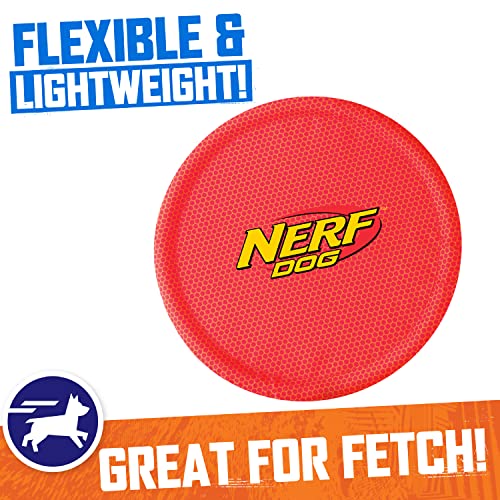 Nerf Dog Nylon Flyer Dog Toy, Flying Disc, Lightweight, Durable and Water Resistant, Great for Beach and Pool, 9 inch diameter, for Medium/Large Breeds, Single Unit, Red - color: Red - 1 Pack