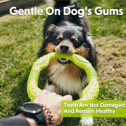 LaRoo Dog Toys for Medium/Large Dogs, Floatable Dog Flying Discs 3 Sizes Tug Toy, Interactive and Tug of War Ring Toy, Funny Fetch Teething Toys (Green, 11.8“) - color: Green
