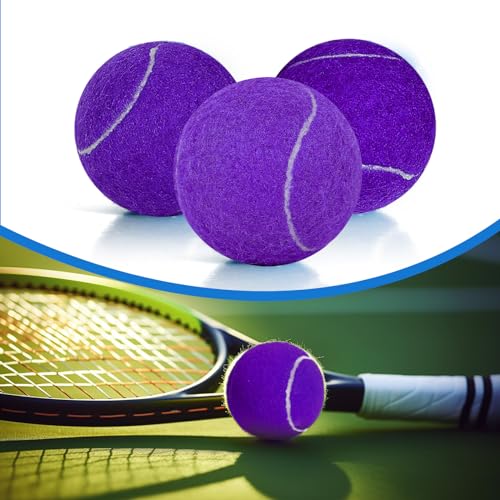 30/40 Pack Training Tennis Balls, Pet Dog Playing Balls, Practice Tennis Balls with Mesh Bag for Transport and Beginner Training - color: Purple-30Pack