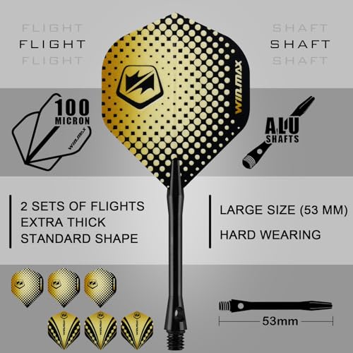 WIN.MAX Darts Soft Tip Set - 90% Tungsten Soft Tip Darts Set Professional 18 Grams Soft Darts Pro Dart Set with Extra 3 Flights - color: Gold and black