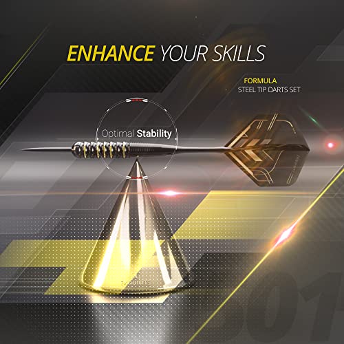CC-Exquisite Darts Set | Professional 12 X 20/22g Metal Tip Darts | Steel Tip Darts with 24 Flights & 18 Aluminum shafts + Dart Tool, Rubber O-Rings - color: Gold