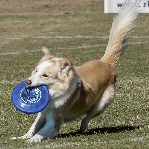 Hyperflite Pup Jawz Puncture Resistant Dog Flying Disc, Small Dogs | Puncture Resistant, Competition Approved | 7-inch, 90g | Small Dogs | Glow - color: Glow
