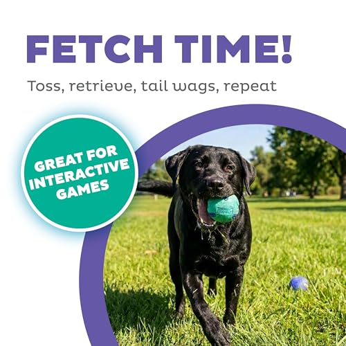 Outward Hound FlyFetch Rubber Fetch Ballz Dog Toy, Bounces & Floats, Launcher Compatible, 2.6", 2-Pack - color: Replacement Balls Multi