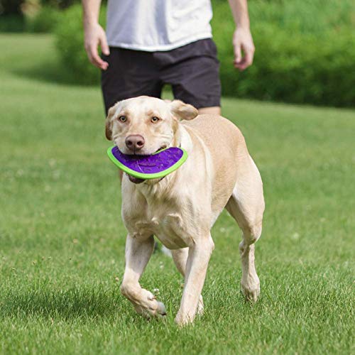 Hero - Outer Armor Boomerang Dog Toy - Dog Chew Toy - Dog Toys - Puppy Toys - Pet Toys - Designed for Medium to Large Sized Dogs from 45-65 lbs - Purple - style: Boomerang - Purple