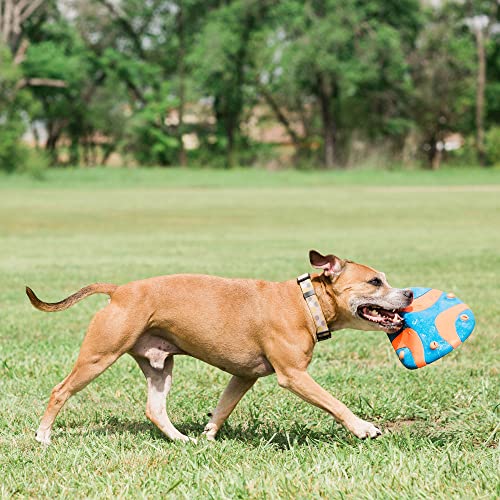 Chuckit! Whistle Flight Outdoor Dog Fetch Toy, Orange/Blue, 10.6" x 1.2" x 11.1", For Medium to Large Dogs