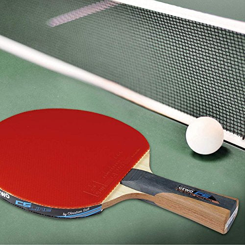 GEWOTable Tennis bat