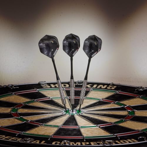 Elkadart Wizard 80% Tungsten Steel Tip Darts with Storage/Travel Case - style: 24 Grams