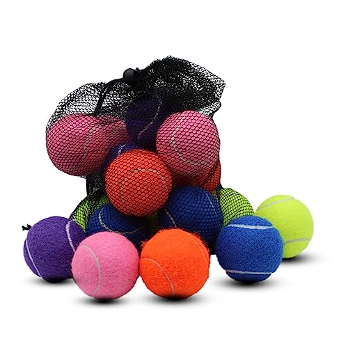 Swingers Tennis Balls,Training Exercise Balls for Pet Dog, High Elasticity Practice Tennis Balls for Beginner, with Mesh Carry Bag Easy to Transport - color: Multicolor, size: 20 PACK