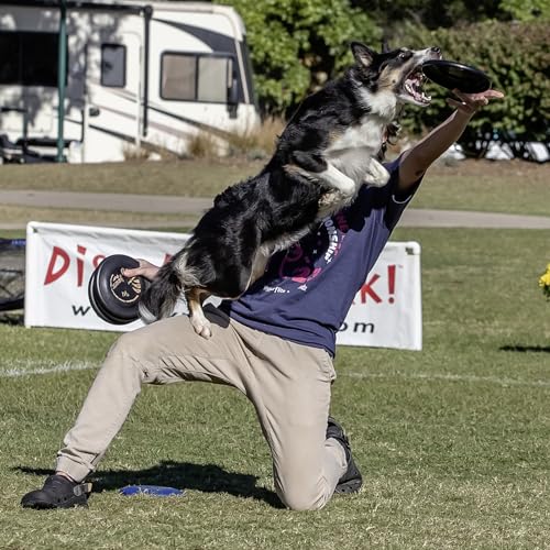 Hyperflite Pup Jawz Puncture Resistant Dog Flying Disc, Small Dogs | Puncture Resistant, Competition Approved | 7-inch, 90g | Small Dogs | Black - color: Black