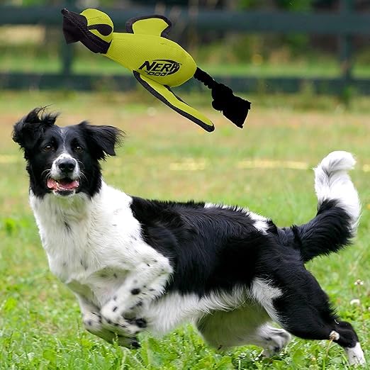 Nerf Dog Trackshot Launching Duck Dog Toy, 16.5 Dog Fetch Toy for Medium and Large Breeds, Green - color: Green