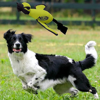 Nerf Dog Trackshot Launching Duck Dog Toy, 16.5 Dog Fetch Toy for Medium and Large Breeds, Green - color: Green