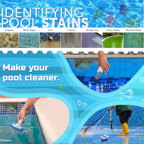 Pool Pumice Stone and 5 inch Stainless Steel Pool Brush Set with EZ-Clip Handle to Reomve Erase Rust Stain Spot in Concrete Plaster Pool Spa and Calcium Deposit on Pool Tile
