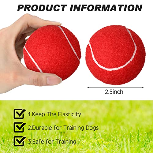 Vinsot 24 Pack Tennis Balls Bulk, Standard Pressure Balls for Training Playing Player Beginner Youth, Exercise Ball for Pet Dog, 2.5 Inch(Red) - color: Red