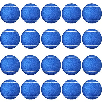 Vinsot 24 Pack Tennis Balls Bulk, Standard Pressure Balls for Training Playing Player Beginner Youth, Exercise Ball for Pet Dog, 2.5 Inch(Blue) - color: Blue