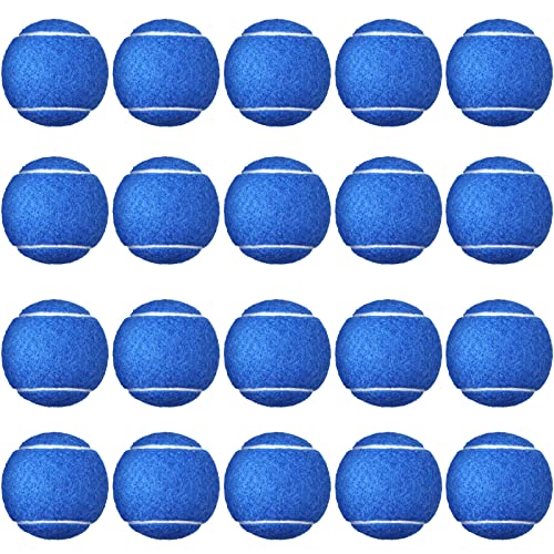 Vinsot 24 Pack Tennis Balls Bulk, Standard Pressure Balls for Training Playing Player Beginner Youth, Exercise Ball for Pet Dog, 2.5 Inch(Blue) - color: Blue