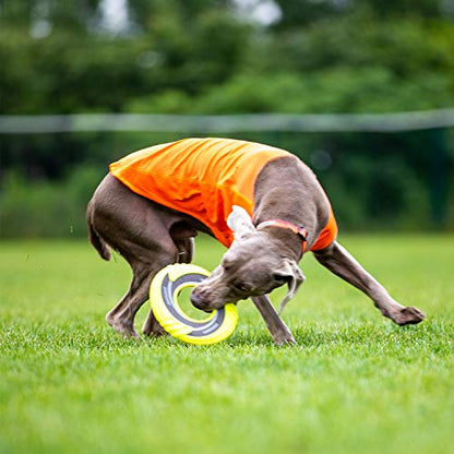 SKIPDAWG Interactive Tug Toy, Flying Disc Water Toy Non-Toxic Light TPR/Nylon Fabric, Pet Training and Outdoor Exercise Toys for Dogs, Diameter 9 Inches - color: Original Green