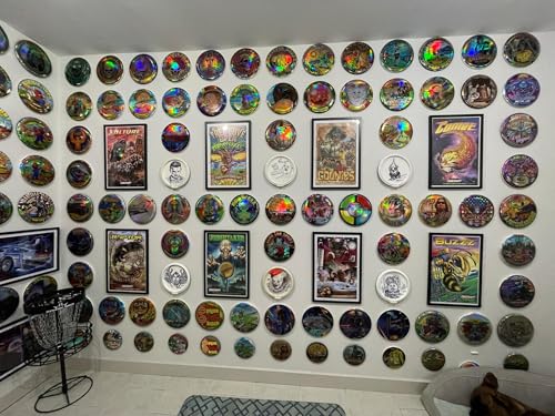DiscWHO- Disc Wall Hanging Organizer (10 Pack)