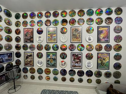 DiscWHO- Disc Wall Hanging Organizer (10 Pack)